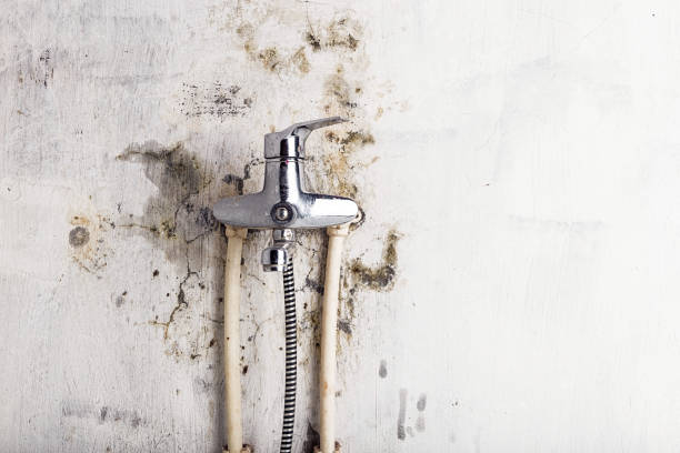 Best Mold Removal Near Me  in Captains Cove, VA