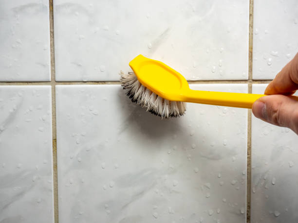 Best Same-Day Mold Removal  in Captains Cove, VA