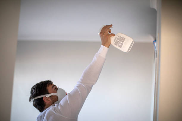 Best Home Mold Removal  in Captains Cove, VA