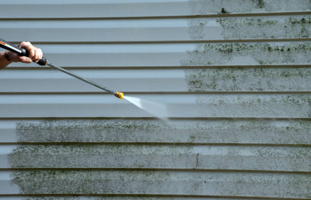 Attic Mold Removal in Captains Cove, VA