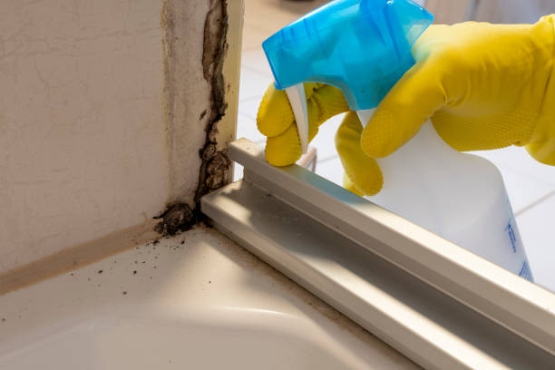 Best Emergency Mold Removal  in Captains Cove, VA