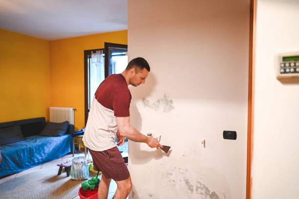 Best Attic Mold Removal  in Captains Cove, VA
