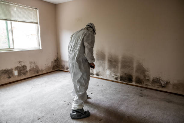 Captains Cove, VA Mold Removal Company